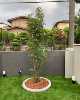 左官職人が手がけた　
#中庭

いかがでしょうか

#寺井左官工業
#左官職人#左官魂
＃中庭造り